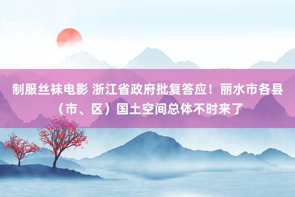 制服丝袜电影 浙江省政府批复答应！丽水市各县（市、区）国土空间总体不时来了