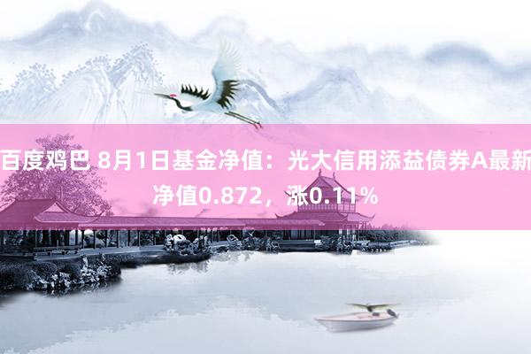 百度鸡巴 8月1日基金净值：光大信用添益债券A最新净值0.872，涨0.11%