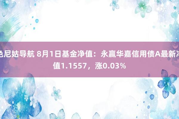 色尼姑导航 8月1日基金净值：永赢华嘉信用债A最新净值1.1557，涨0.03%