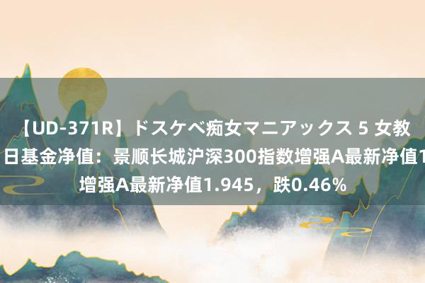 【UD-371R】ドスケベ痴女マニアックス 5 女教師＆女医編 8月1日基金净值：景顺长城沪深300指数增强A最新净值1.945，跌0.46%