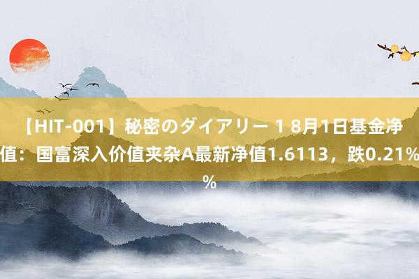 【HIT-001】秘密のダイアリー 1 8月1日基金净值：国富深入价值夹杂A最新净值1.6113，跌0.21%