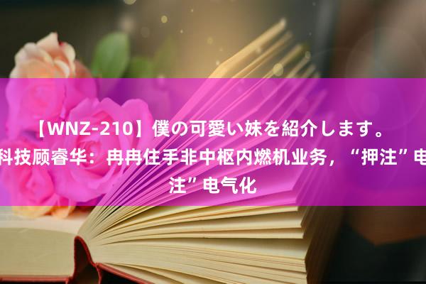 【WNZ-210】僕の可愛い妹を紹介します。 纬湃科技顾睿华：冉冉住手非中枢内燃机业务，“押注”电气化