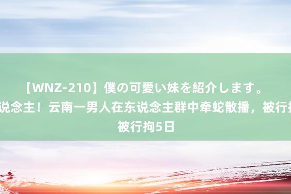 【WNZ-210】僕の可愛い妹を紹介します。 吓东说念主！云南一男人在东说念主群中牵蛇散播，被行拘5日