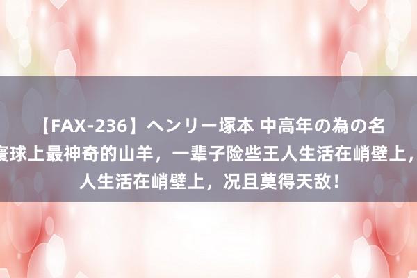 【FAX-236】ヘンリー塚本 中高年の為の名作裏ビデオ集 寰球上最神奇的山羊，一辈子险些王人生活在峭壁上，况且莫得天敌！