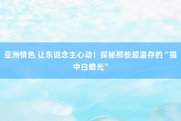 亚洲情色 让东说念主心动！探秘那些超温存的“猫中白蟾光”