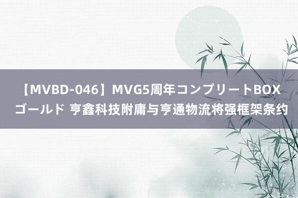 【MVBD-046】MVG5周年コンプリートBOX ゴールド 亨鑫科技附庸与亨通物流将强框架条约