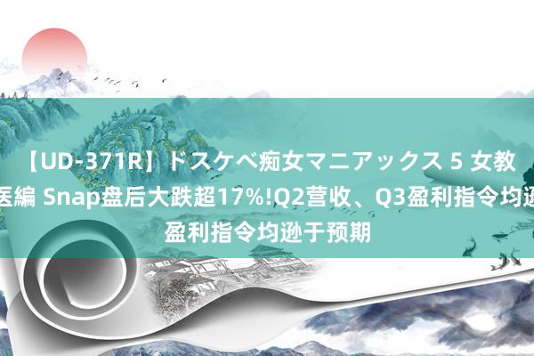 【UD-371R】ドスケベ痴女マニアックス 5 女教師＆女医編 Snap盘后大跌超17%!Q2营收、Q3盈利指令均逊于预期