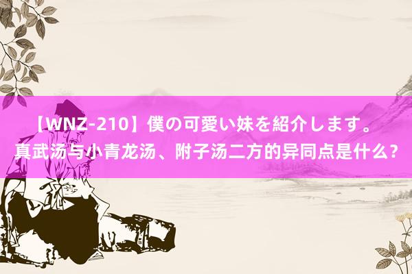 【WNZ-210】僕の可愛い妹を紹介します。 真武汤与小青龙汤、附子汤二方的异同点是什么？