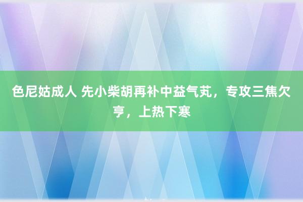 色尼姑成人 先小柴胡再补中益气芄，专攻三焦欠亨，上热下寒