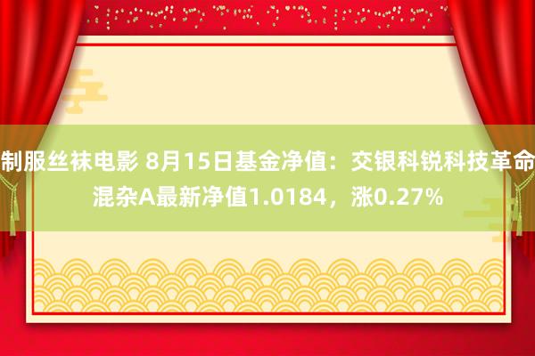 制服丝袜电影 8月15日基金净值：交银科锐科技革命混杂A最新净值1.0184，涨0.27%