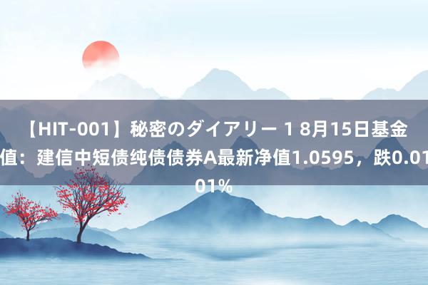 【HIT-001】秘密のダイアリー 1 8月15日基金净值：建信中短债纯债债券A最新净值1.0595，跌0.01%