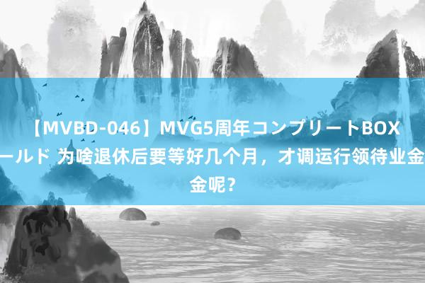 【MVBD-046】MVG5周年コンプリートBOX ゴールド 为啥退休后要等好几个月，才调运行领待业金呢？