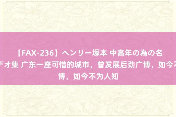 【FAX-236】ヘンリー塚本 中高年の為の名作裏ビデオ集 广东一座可惜的城市，曾发展后劲广博，如今不为人知