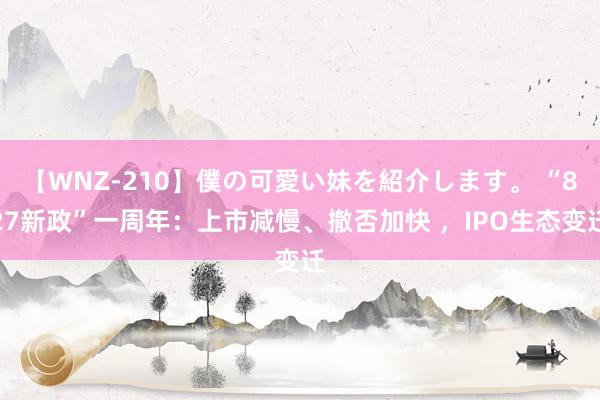 【WNZ-210】僕の可愛い妹を紹介します。 “827新政”一周年：上市减慢、撤否加快 ，IPO生态变迁