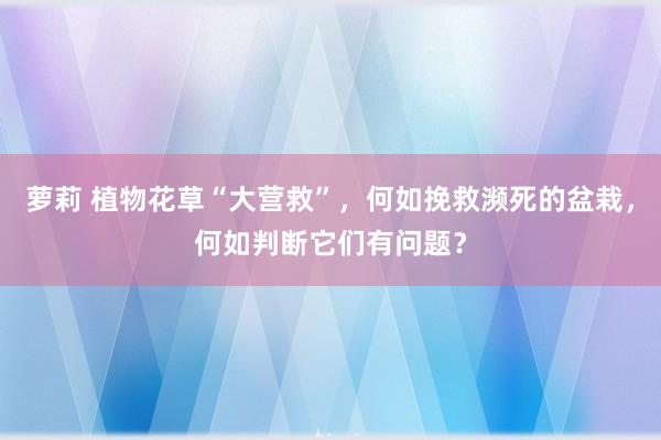 萝莉 植物花草“大营救”，何如挽救濒死的盆栽，何如判断它们有问题？