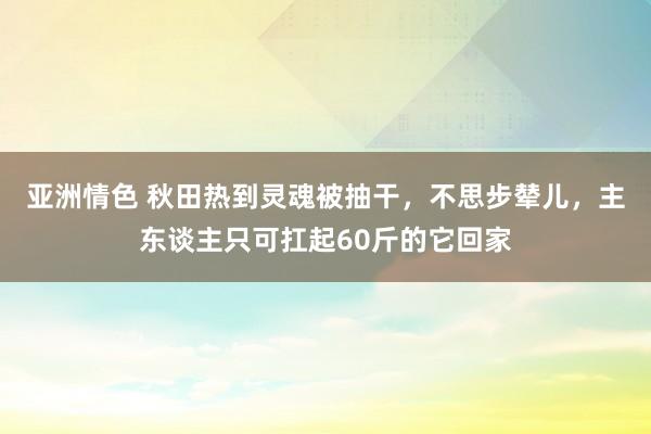 亚洲情色 秋田热到灵魂被抽干，不思步辇儿，主东谈主只可扛起60斤的它回家