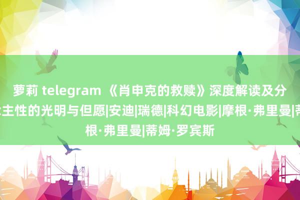 萝莉 telegram 《肖申克的救赎》深度解读及分析：东说念主性的光明与但愿|安迪|瑞德|科幻电影|摩根·弗里曼|蒂姆·罗宾斯